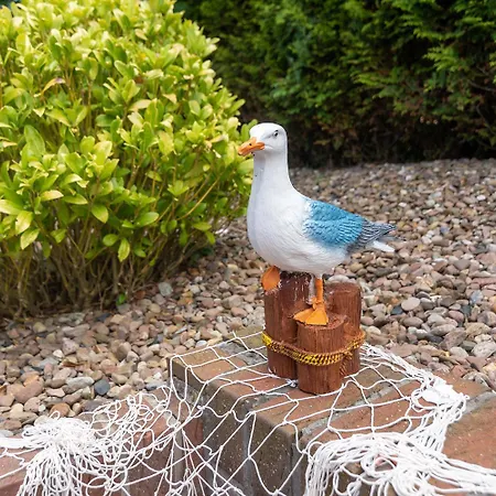 Strandlaeufer Bensersiel