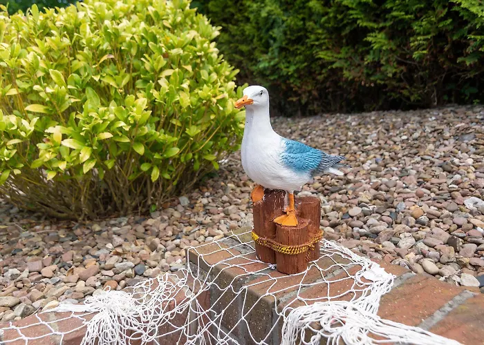 Strandlaeufer 贝塞尔